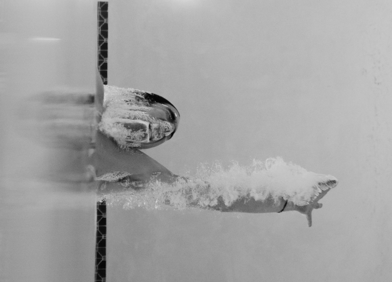 pexels-mediocrememories-2157168